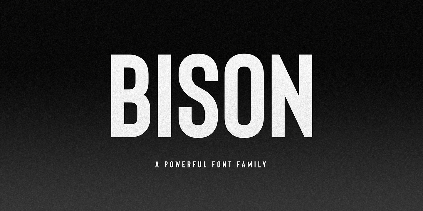 Bison